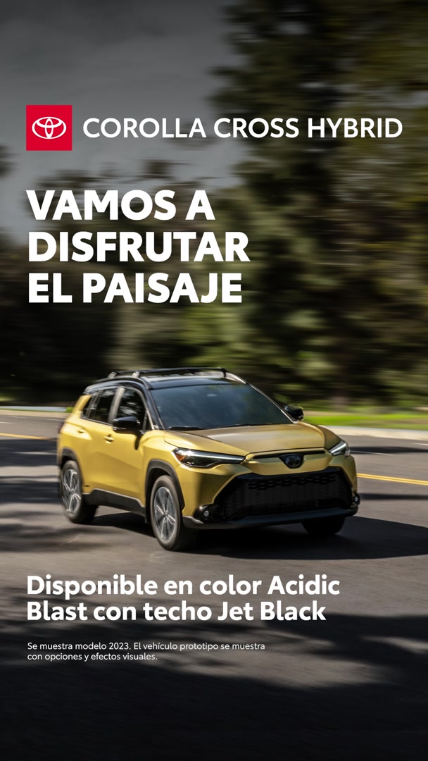 Toyota — View